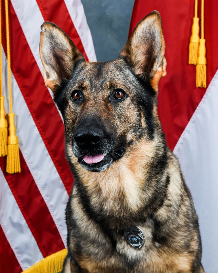 Gaston County Police would like to announce the retirement of K9 Mack.