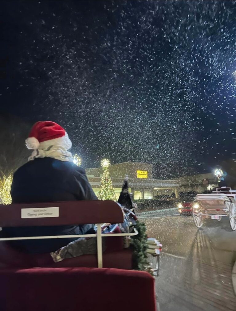 Christmas Carriage Rides