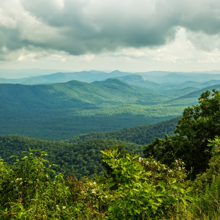 All state parks west of I-77 closed